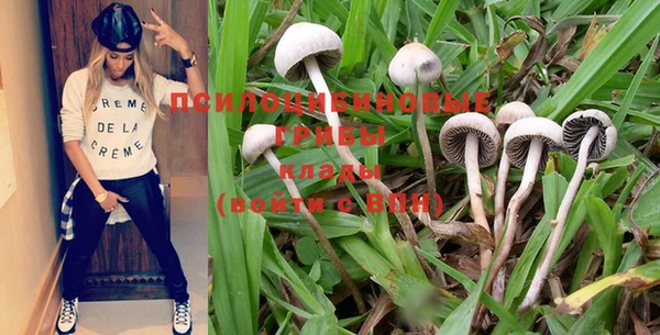 не бодяженный Богданович