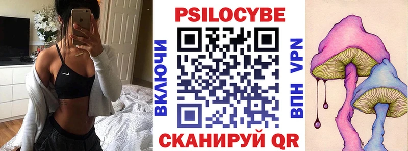 Псилоцибиновые грибы Cubensis как найти закладки Невельск